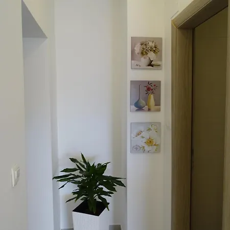 4pax On The With Garden, Sea View, Terrace & Parking - Ap A1